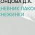 Обзор книги Дневник пакостей Снежинки автор Донцова Д А