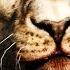 Far Cry Primal Taming A CAVE LION How To Tame Beasts Best Beasts In Far Cry Primal