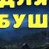 Смотрит смотрит и не видит Страшные истории про ведьм Деревенские страшилки