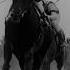 FW Horses Edit Racehorses Halloffame Ruffian Boss Queen