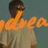 TENDER Daydreamers Official Visualiser