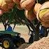 How To BILLIONS Of Pistachios Harvested Processed Agriculture Technology