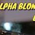 Alpha Blondy Jerusalem Lyrics