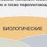 Сексуальность у женщин с эндокринными заболеваниями Что имеет значение