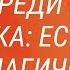 Маги среди знаков Зодиака есть ли у вас магические способности