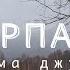 Карпати очима джунів Ідемо до будиночка лісника