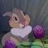 Bambi Extrait Bambi Rencontre Panpan Disney BE