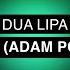 Dua Lipa Houdini Adam Port Mix