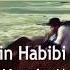 Amin Habibi Dishab Hamin Mothe 2017