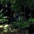 Crysis Amazing Graphics GTX 460 SE GDC06CL Map