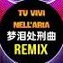 梦泪处刑曲 Tu Vivi Nell Aria 抖音 Tiktok Remix 2022 Hot Trend Tiktok Douyin