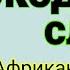 Крокодильи слезы Африканская сказка манден Аудиосказка