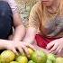 The Orphan Boy And The Mute Girl Harvest Orange Bring To Market To Sell Buy Vegetable Fertilizer