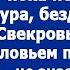 Свекровь заливалась соловьем перед подругой не зная что сын с невесткой стоят за спиной