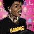 SahBabii Cracks Crevices 432Hz