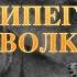 Виннипегский волк Эрнест Сетон Томпсон краткое содержание 4 КЛАСС Baby Book Сказки на ночь