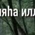 Скажите ла Илаха иллаллах скажите аллахумма Салли ва саллим вам парик аля Мухаммад