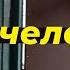 Но ты человек кавер на кавер Александра Пушного