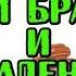 АНЕКДОТ ПРО УКРАДЕННУЮ КОРОВУ И ТРЕХ БРАТЬЕВ СМЕШНОЙ АНЕКДОТ