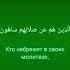 Сура Аль Маун Подаяние Аллах ислам коран аят аятыкорана слушайкоран сура сурымолитвы
