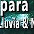 Salmos Para Dormir I La Biblia Hablada I Sonidos De Lluvia I 3 Horas