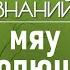 Как кошки стали разными Лекции палеонтолога Ярослава Попова