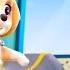 PAW Patrol Pup Pup Boogie Season 1 Compilation WildBrain Zoo Cartoons Of Kids