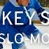 Slo Mo Hockey Stop