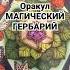 МАГИЧЕСКИЙ ГЕРБАРИЙ В Каком ты сейчас состоянии На что обратить внимание 3 варианта Shorts