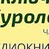 Юрий Коваль Приключения Васи Куролесова АУДИОКНИГА Часть 1 главы 4 7