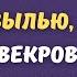 Я тебе сейчас эту тарелку за шиворот вылью кричала свекровь моей дочери после этого