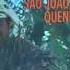 São João Quente Luiz Gonzaga 1971 Instrumental