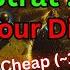 3 25 The Blight T16 Farm Strat On POE Grab Your Divines Cheap BUT Very Rippy Test Your Build