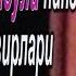 Таваккал Қодиров Дилбаргинам