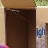 Best Bird Trap Easy Creative Parrot Trap Make From Cardboard Box