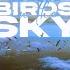 Birds In The Sky Mazza L20 Remix