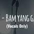 Bibi Bam Yang Gang Studio Acapella Vocals Only