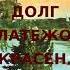 Долг платежом красен Рассказы непридуманные