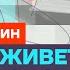 Фейгин про криминал во власти и желание Путина убить Пашиняна Честное слово с Марком Фейгиным