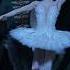 Swan Lake End Of Act II The Royal Ballet Shorts RoyalOperaHouse