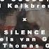 No Goodbye Paul Kalkbrenner X Silence Niels Van Gogh Vs Thomas Gold Remix Mashup