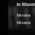 In Bloom Nirvana