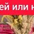 Анна Каренина Часть 4 Алексей Каренин злодей или нет