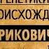 Тайна раскрыта Генетики расшифровали ДНК Рюрика