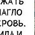 Сынок срочно пропишите Олечку нагло НАЧАЛА СВЕКРОВЬ но Кира не выдержала ИСТОРИИ ИЗ ЖИЗНИ