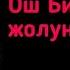 Айгерим Расул Кызы Ош Бишкек жолунда