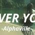 Alphaville Forever Young Slowed Reverb Effect