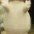 Makka Pakka Song In The Night Garden