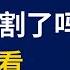 怎么看韭菜被割了 胡说中国股市 直播精选