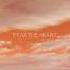 Mount Desert Fear The Heart Full Album 2022